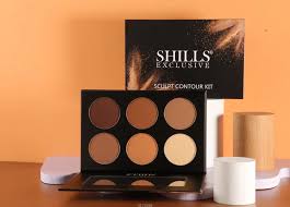 SHILLS Contour Palette